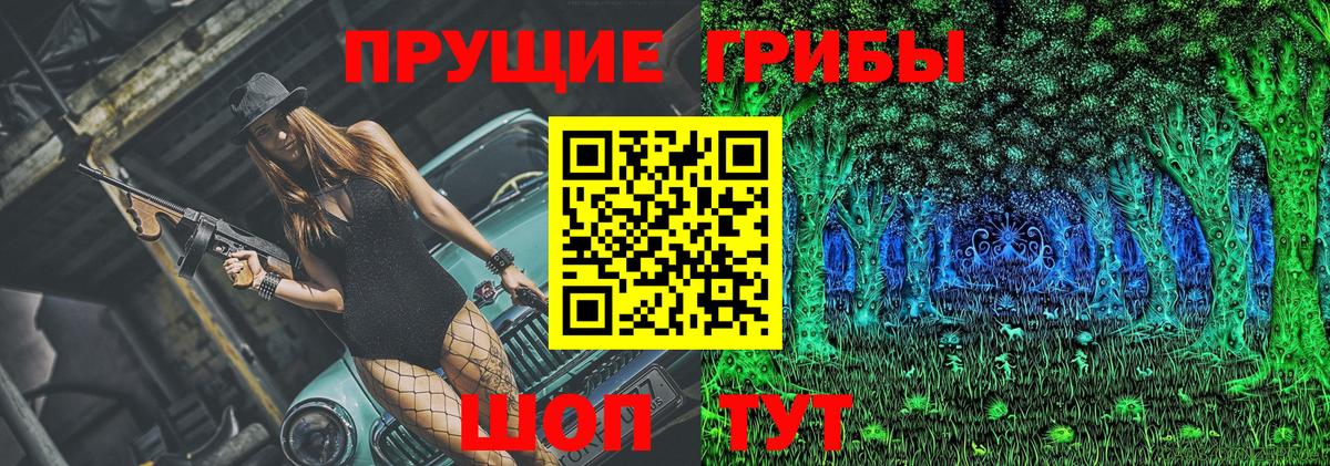 Галлюциногенные грибы мицелий  Вход с VPN  купить наркотики цена  Изобильный  Галлюциногенные грибы ЛСД 